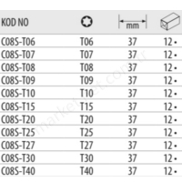 1/4 Torx Uçlu Lokmalar  resim2