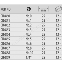 Torq-Set Bits Uçlar (25Mm) resim3